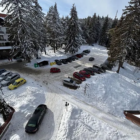 Family Apartament